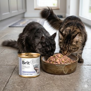 Karma dla kota Gastrointestinal, puszka 200g – Brit Grain Free Veterinary Diet Cat Gastrointestinal, łosoś i groszek