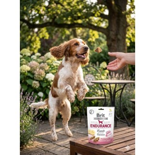 Brit Care Functional Snack Endurance Lamb 150g – Bezzbożowe przysmaki dla psów aktywnych z jagnięciną i bananem