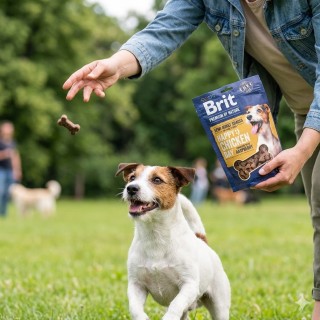 Brit Premium by Nature Semi-Moist Snacks Chicken 180g – Półmiękkie przysmaki z kurczakiem i malinami dla psa