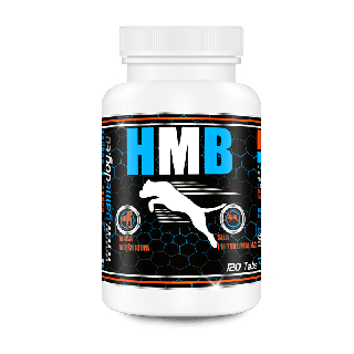 Game Dog HMB 120 tabletek – HMB dla psa