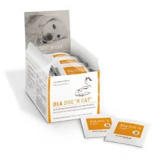 Diadog’n Cat tabletki – preparat na biegunkę dla psa i kota