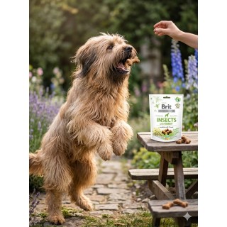 Brit Care Dog Crunchy Cracker Insects & Rabbit 200g – Bezzbożowe ciastka dla psa z owadami, królikiem i koprem włoskim
