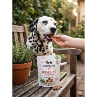 Brit Care Dog Crunchy Cracker Insects & Salmon 200g – Bezzbożowe ciastka dla psa z owadami, łososiem i tymiankiem