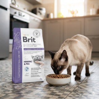 Karma Gastrointestinal low fat dla kota, sucha – Brit Veterinary Diets Cat Grain-free, śledź i groch